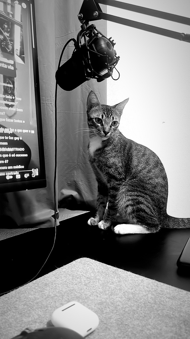 My cat being photogenic